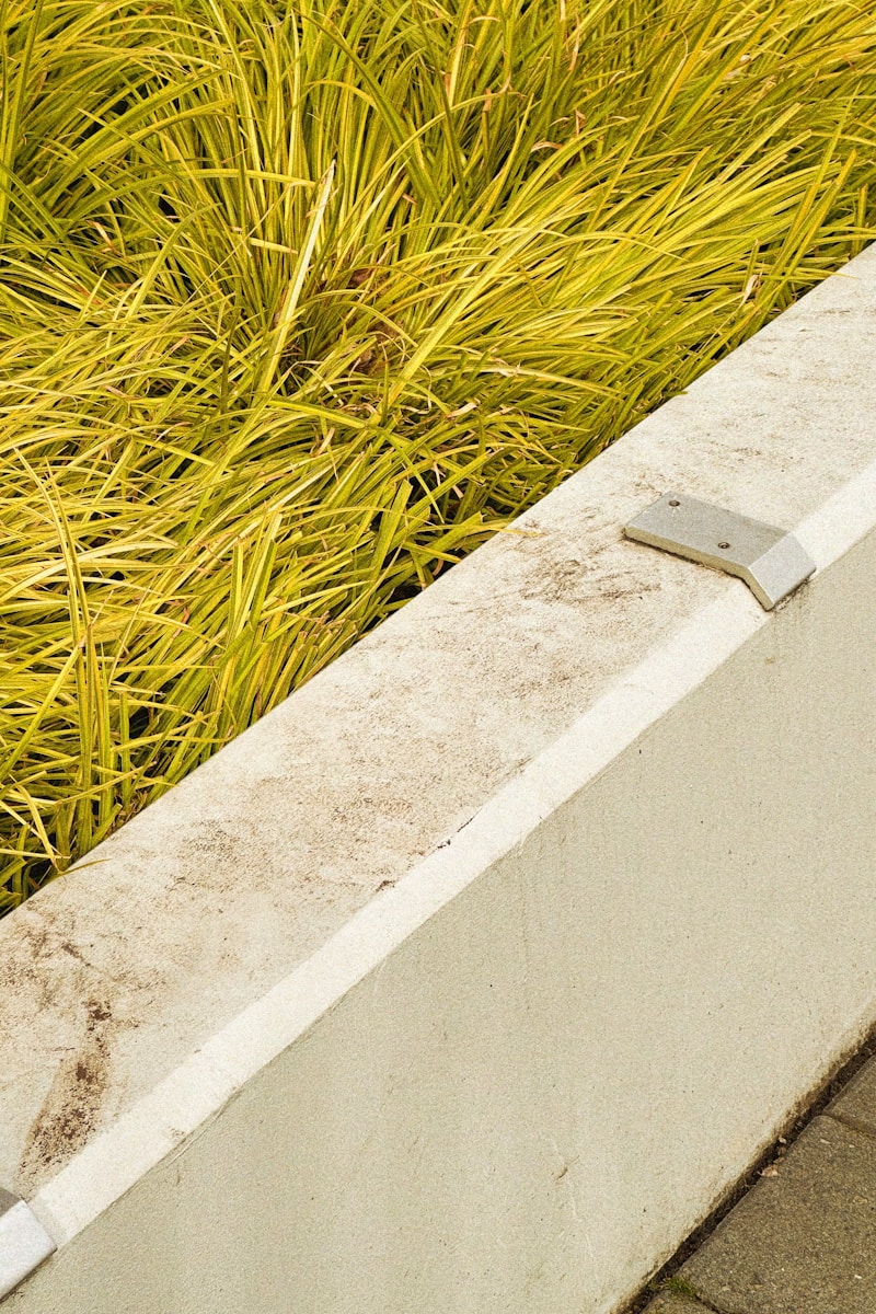 a fire hydrant sitting on the side of a cement wall